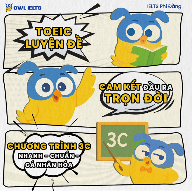 Hệ thống ngữ pháp TOEIC 2025 – Học dễ nhớ, thi điểm cao cùng OWL TOEIC Phi Đằng