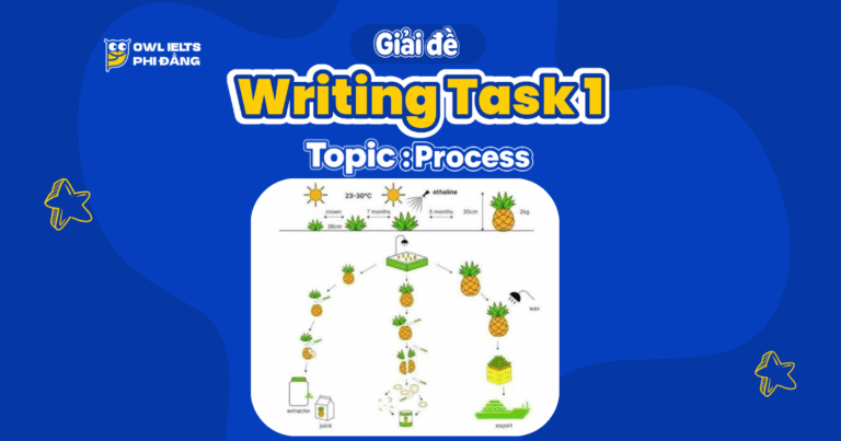 Giải đề thi IELTS Writing Task 1 – Process: Pineapples and Pineapple Products