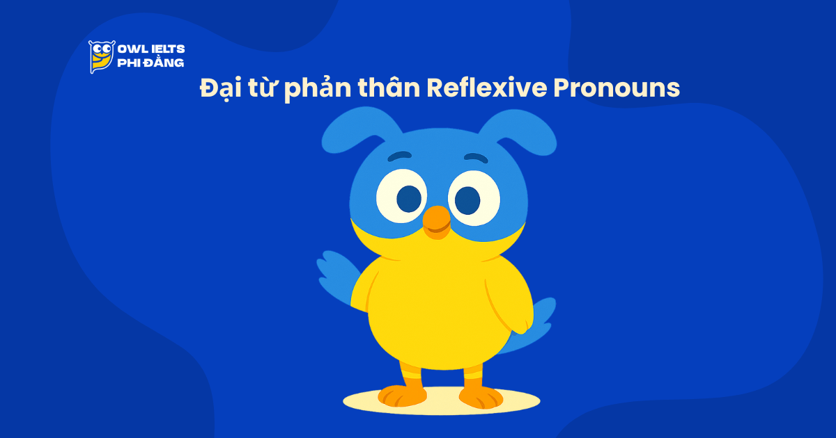 Đại từ phản thân Reflexive Pronouns trong tiếng Anh: Cấu trúc, cách dùng & ví dụ chi tiết