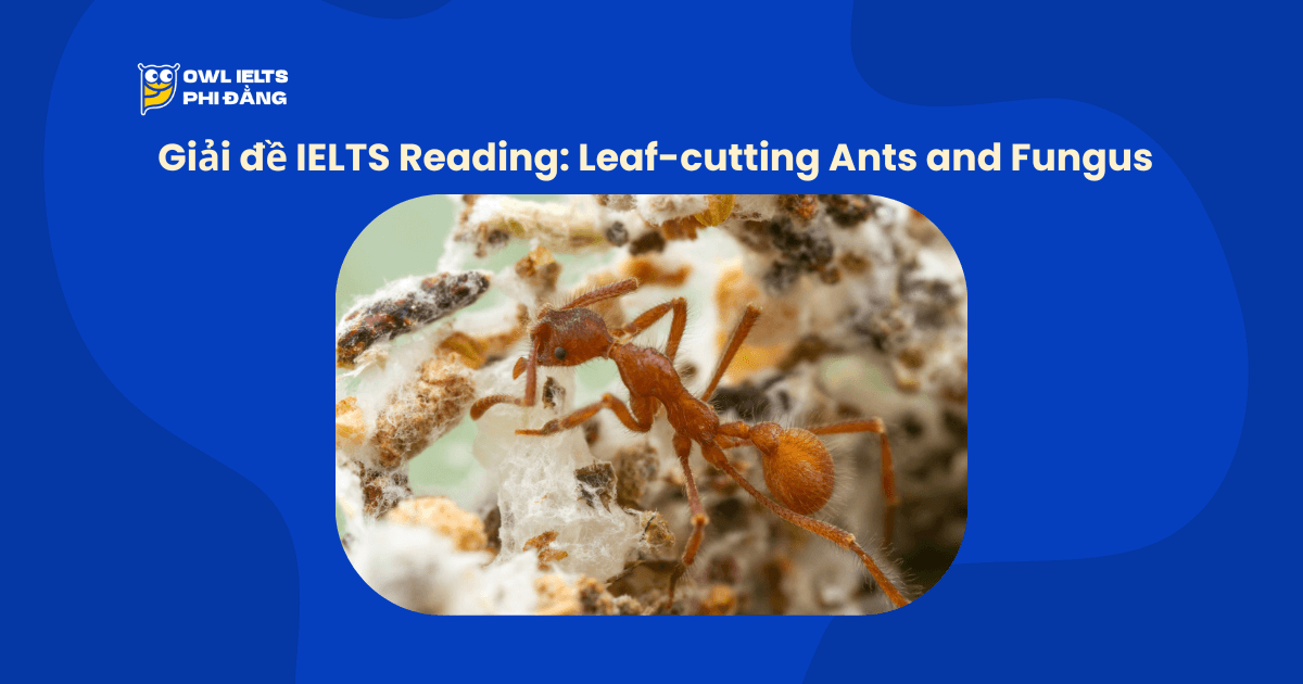 Giải đề thi thật IELTS Reading – Leaf-cutting Ants and Fungus