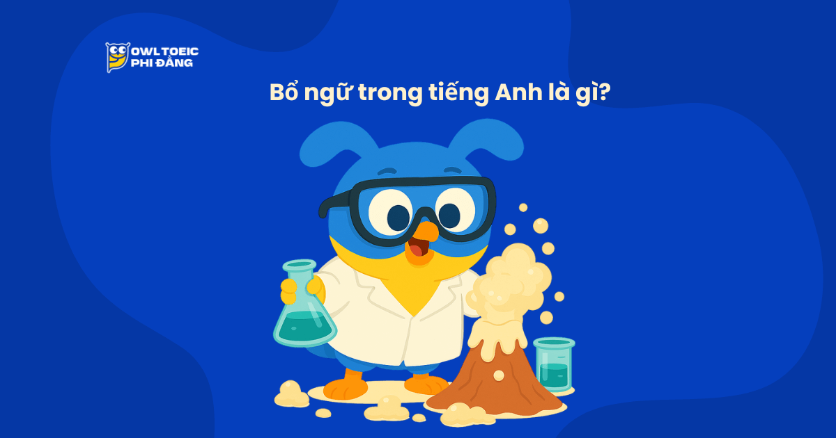 Bổ ngữ trong tiếng Anh (Complement): Định nghĩa, cách dùng, ví dụ và bài tập chi tiết