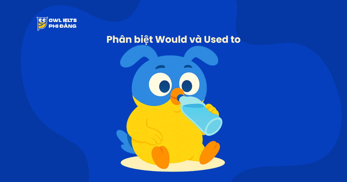 Phân biệt Would và Used to: 4 điều cần nắm chắc để không nhầm lẫn