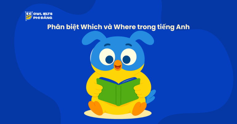 Phân biệt Which và Where trong tiếng Anh: Cách dùng & mẹo ghi nhớ cực dễ