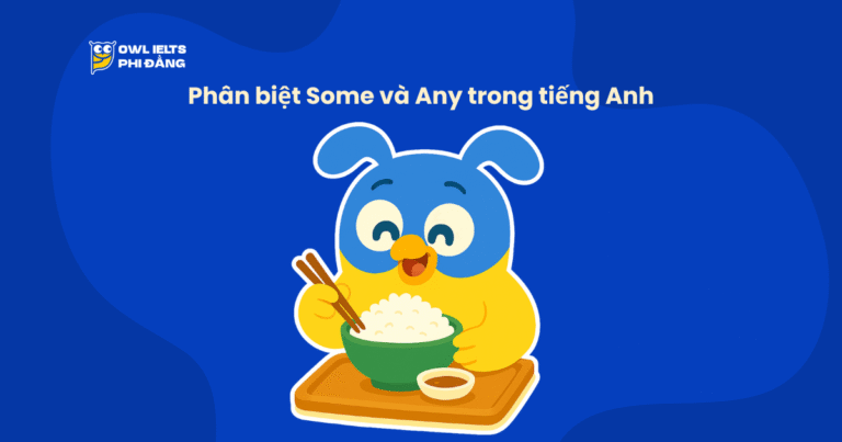 Phân biệt Some và Any trong tiếng Anh: Cách dùng, ví dụ & bài tập dễ hiểu