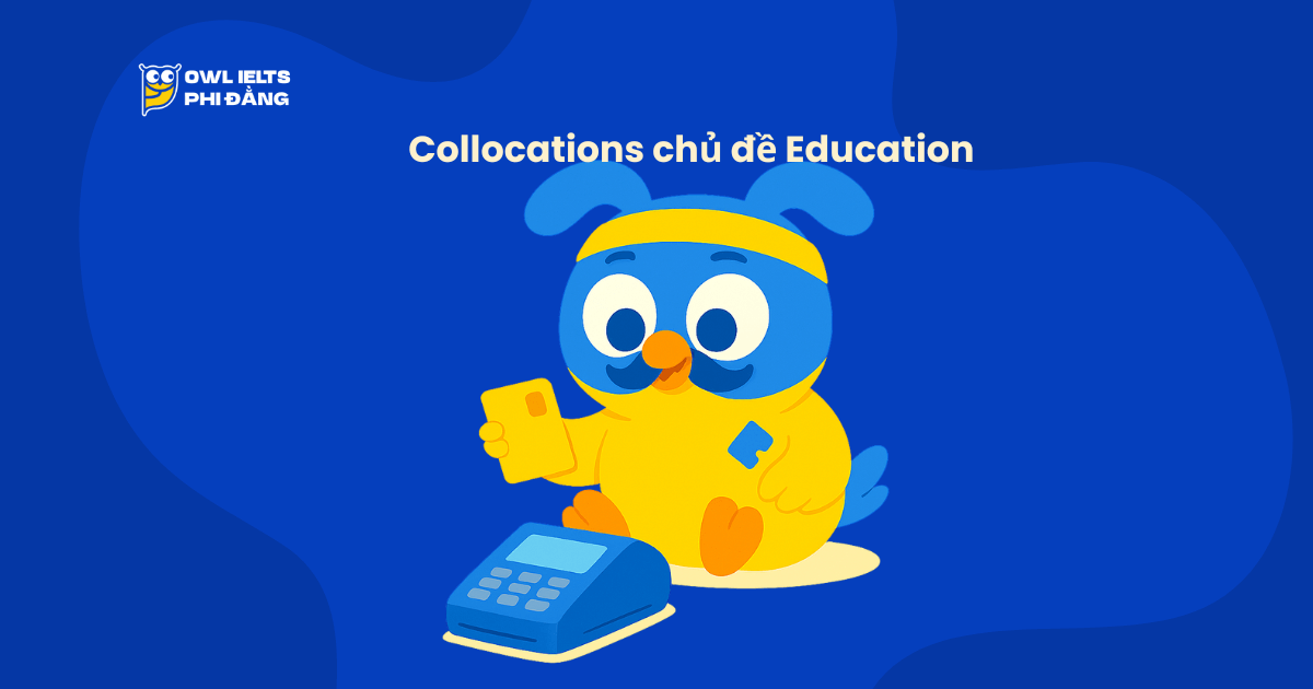Collocations chủ đề Education – 100+ cụm từ “xịn” giúp tăng band IELTS Speaking & Writing