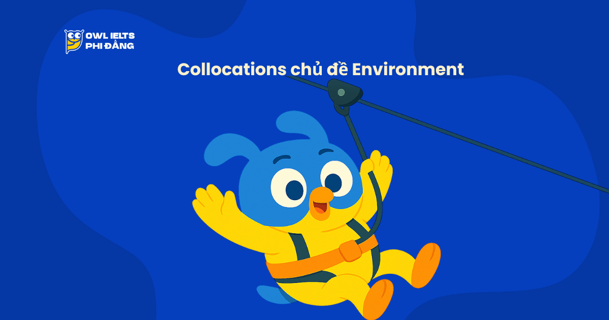 Collocations chủ đề Environment – 100+ cụm từ học thuật giúp tăng band IELTS Writing & Speaking