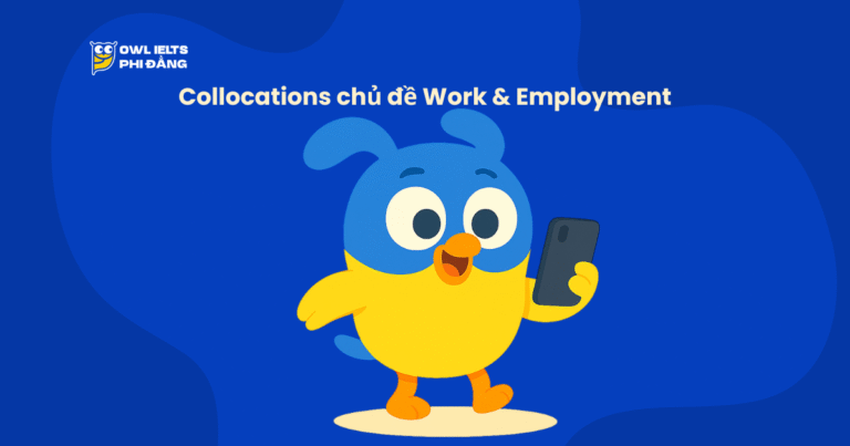 Collocations chủ đề Work & Employment – 120+ cụm từ học thuật giúp tăng band IELTS nhanh