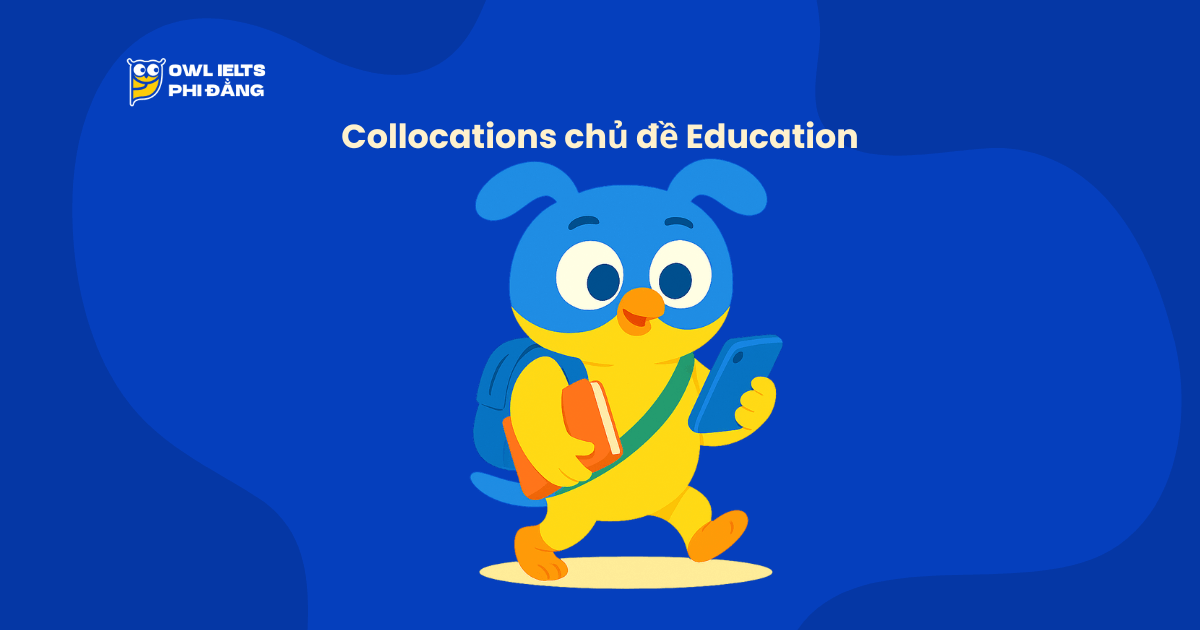 Collocations chủ đề Education nâng cao – 150+ cụm từ học thuật “ăn điểm” cho IELTS Writing & Speaking