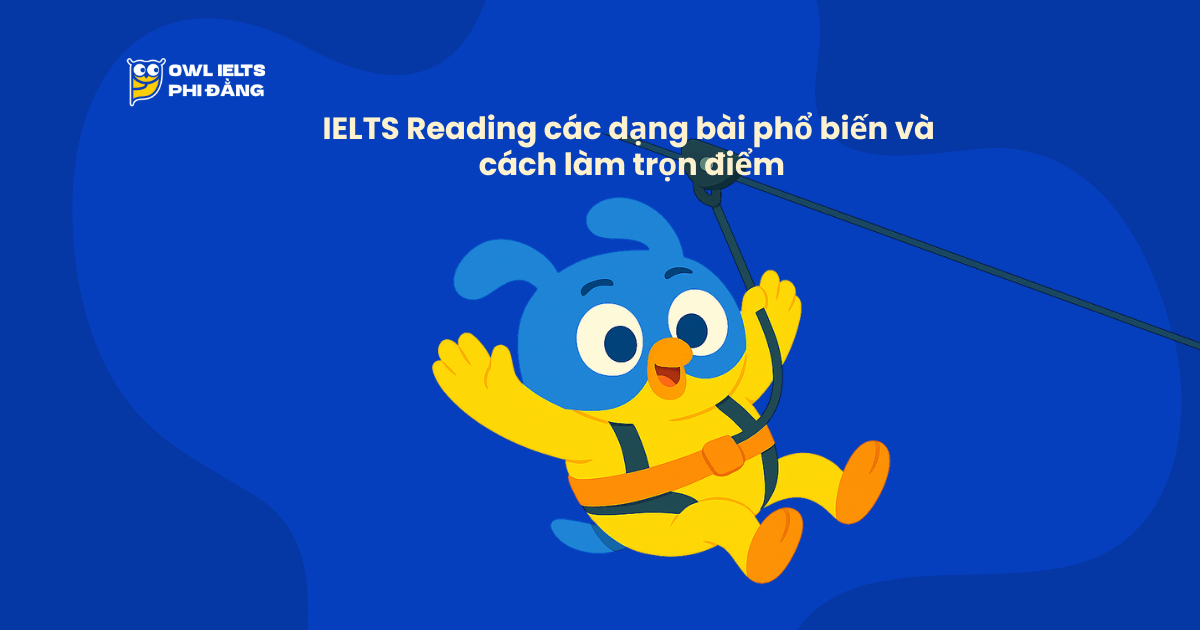 IELTS Reading các dạng bài phổ biến và cách làm trọn điểm