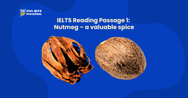 Giải đề IELTS Reading Nutmeg _ a valuable spice – Note Completion – bằng phương pháp 3C