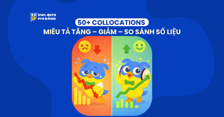 Kho từ vựng IELTS Writing Task 1 ăn điểm: 50+ Collocations miêu tả Tăng – Giảm – So sánh số liệu