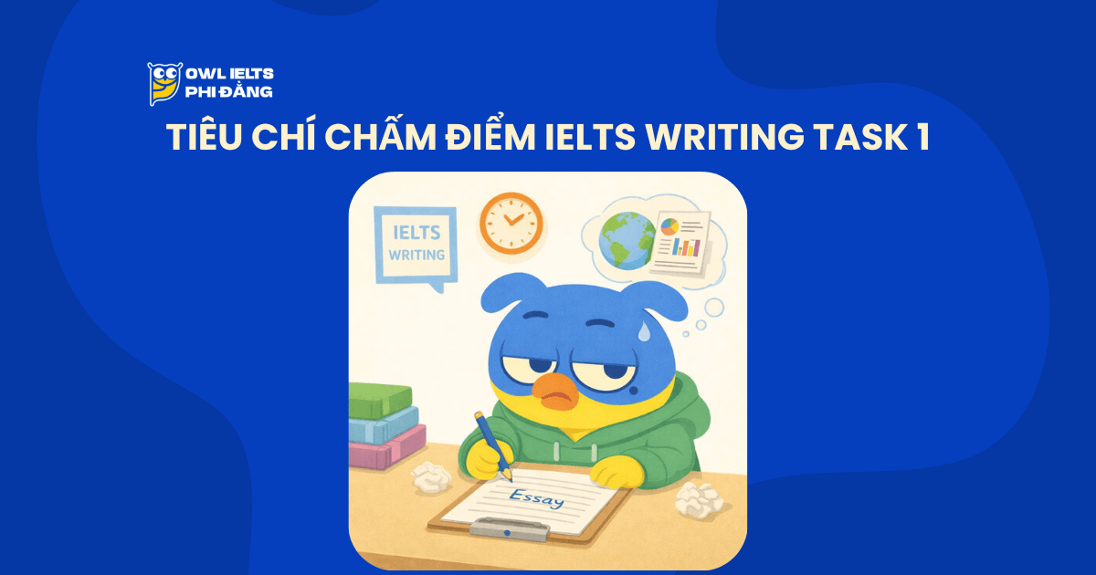 Tiêu chí chấm IELTS Writing Task 1: 4 Band Descriptors và cách “ăn điểm” từng mục để đạt 6.5+