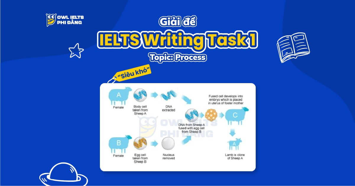Giải đề IELTS Writing Task 1 _ Dạng: Process by which Sheep Embryos are Cloned | Phân tích chi tiết & Bài mẫu | Sample Cập nhật liên tục