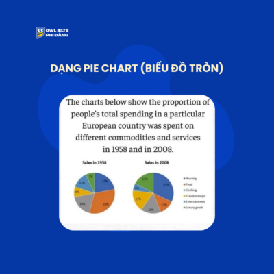 dang-pie-chart-bieu-do-tron