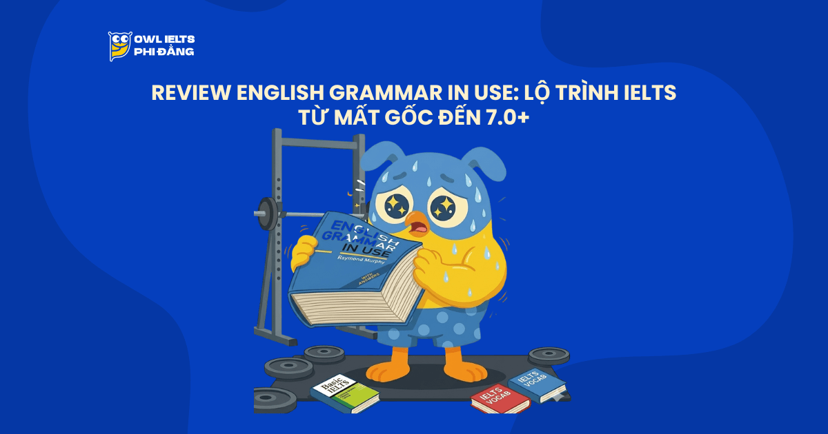 review-englishgrammar-in-use