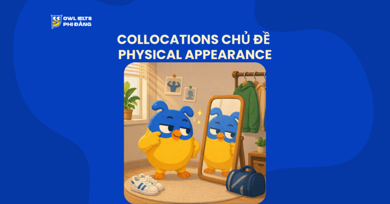 Collocations chủ đề Physical Appearance – 100+ cụm từ giúp tăng band điểm IELTS Writing với Speaking