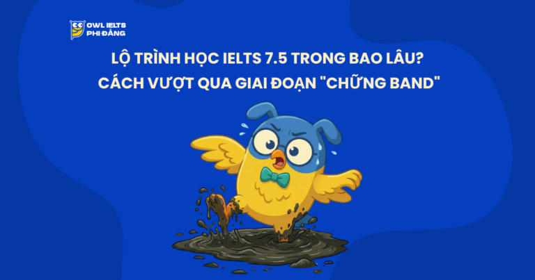 Lộ Trình Học IELTS 7.5 Trong Bao Lâu? Cách Vượt Qua Giai Đoạn “Chững Band”