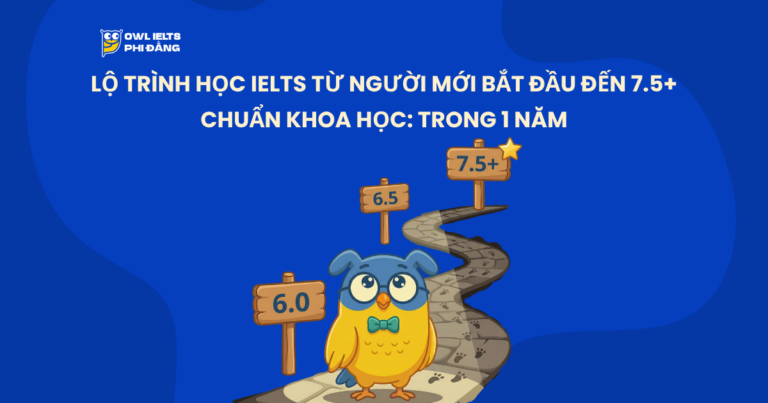Lộ Trình Học IELTS Từ Người Mới Bắt Đầu Đến 7.5+ Chuẩn Khoa Học: trong 1 năm