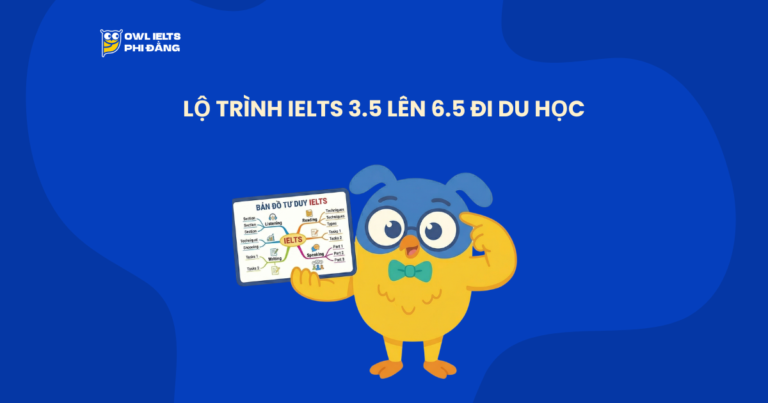 Lộ Trình IELTS 3.5 Lên 6.5 Đi Du Học: Tiết Kiệm 70% Thời Gian Bằng “Ý Tưởng Đa Chiều”