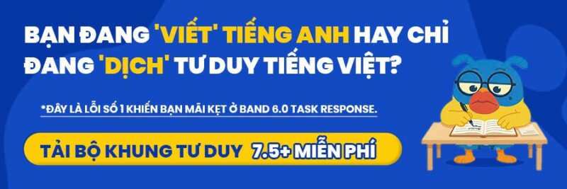 Giải đề IELTS Writing Task 2: Work vs Travel Before University | Phân tích chi tiết & Bài mẫu band 7+