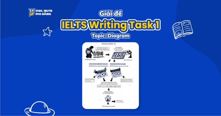 Giải đề IELTS Writing Task 1: Black Tea Manufacturing Process | Phân tích chi tiết & Bài mẫu band 7+