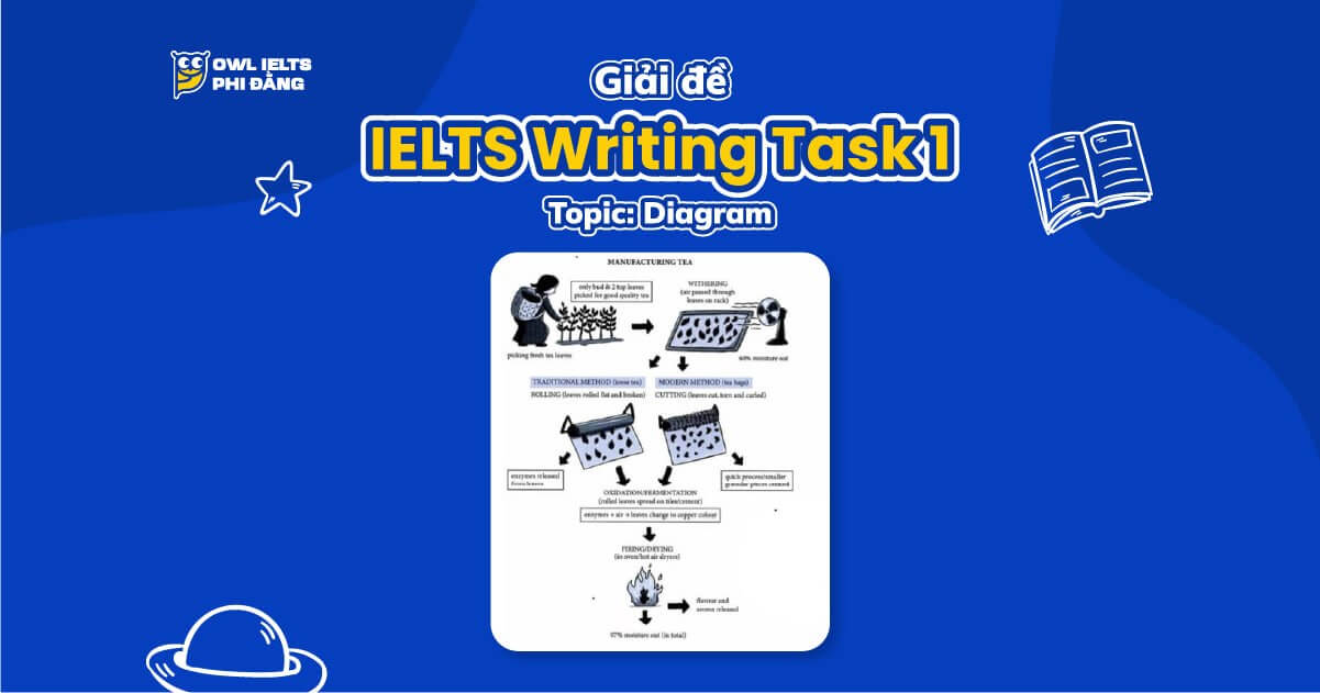Giải đề IELTS Writing Task 1: Black Tea Manufacturing Process | Phân tích chi tiết & Bài mẫu band 7+